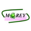 LOGO MOREY INTERNATIONAL TRADING